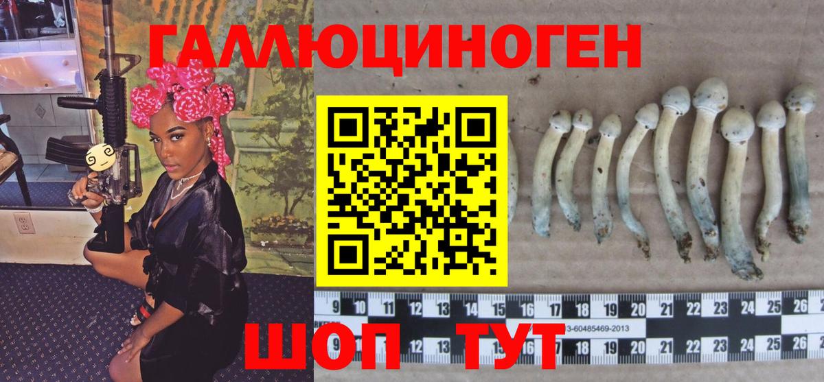 купить  сайты  Псилоцибиновые грибы Psilocybe  Вход с VPN  Саянск 